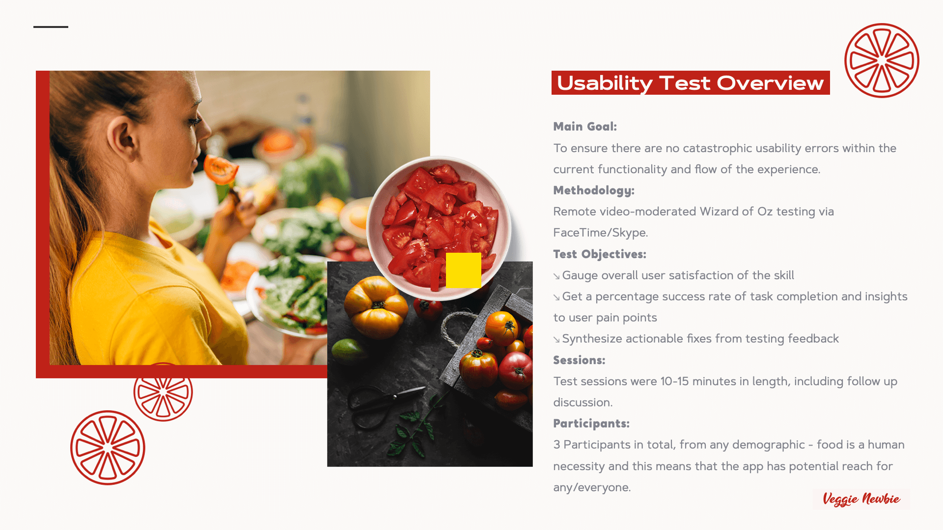 Usability-Test-Overview